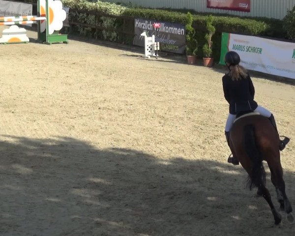 Reitturnier Kirchhellen/Stall Dieckmann 2020