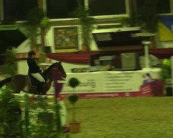 jumper Charming Clara (German Riding Pony, 2010, from Cornetto)