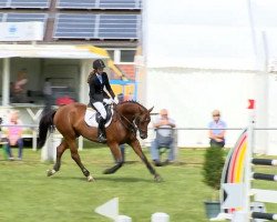 jumper Laskardo (Westphalian, 2008, from Lavaletto)