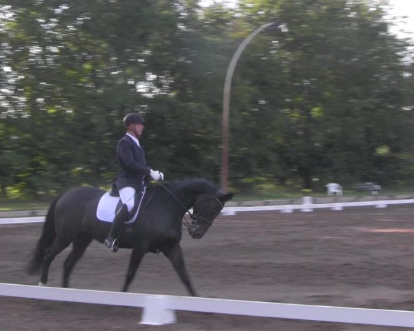 Reitturnier Dallgow 2020