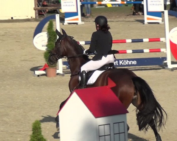 Reitturnier Kirchhellen/Stall Dieckmann 2020