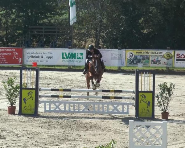 jumper Eliza (KWPN (Royal Dutch Sporthorse), 2009, from Zapatero VDL)