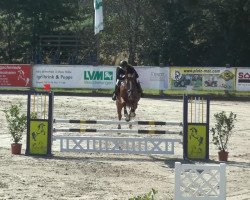 jumper Eliza (KWPN (Royal Dutch Sporthorse), 2009, from Zapatero VDL)
