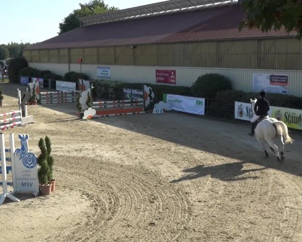 Reitturnier Kirchhellen/Stall Dieckmann 2020