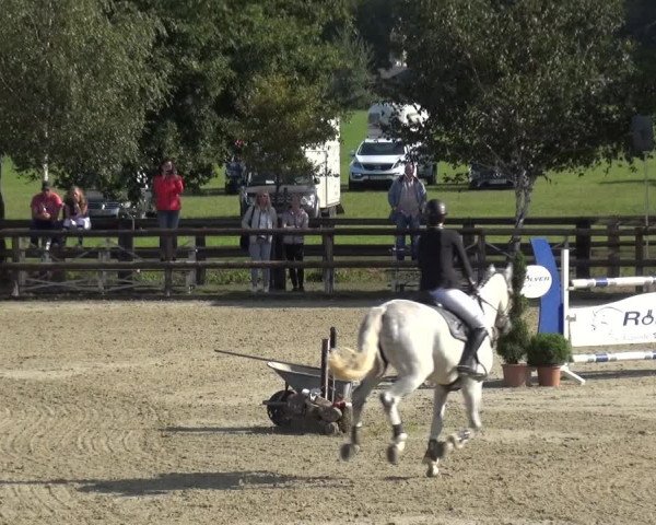Reitturnier Kirchhellen/Stall Dieckmann 2020