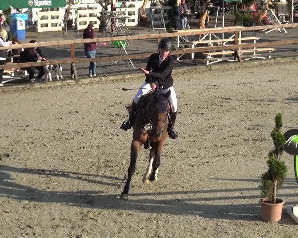 Reitturnier Kirchhellen/Stall Dieckmann 2020