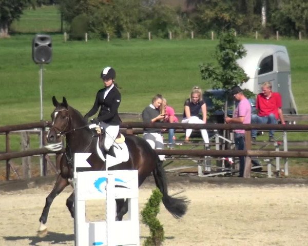 Reitturnier Kirchhellen/Stall Dieckmann 2020