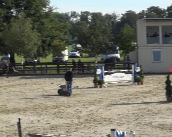 Reitturnier Kirchhellen/Stall Dieckmann 2020