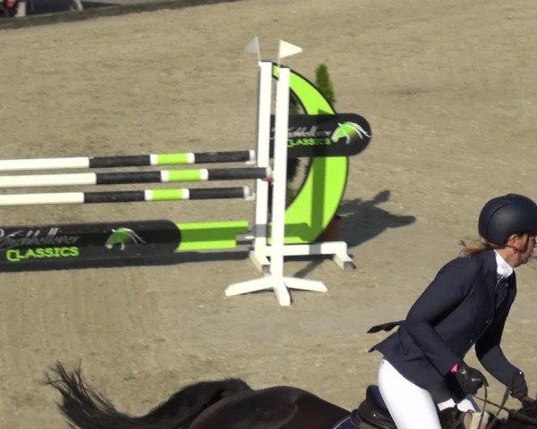 Reitturnier Kirchhellen/Stall Dieckmann 2020