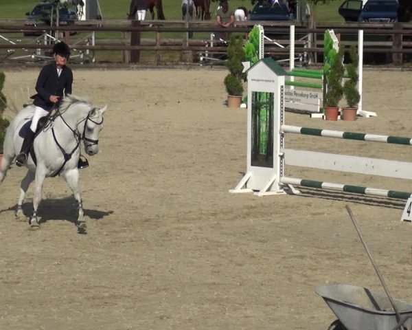 Reitturnier Kirchhellen/Stall Dieckmann 2020