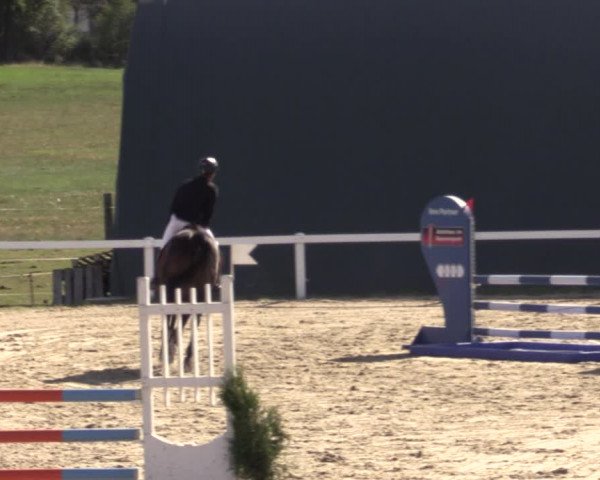 Reitturnier Bad Schmiedeberg 2020