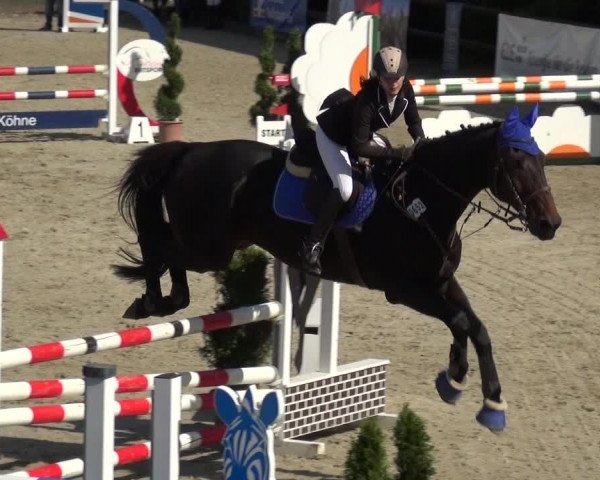 Reitturnier Kirchhellen/Stall Dieckmann 2020