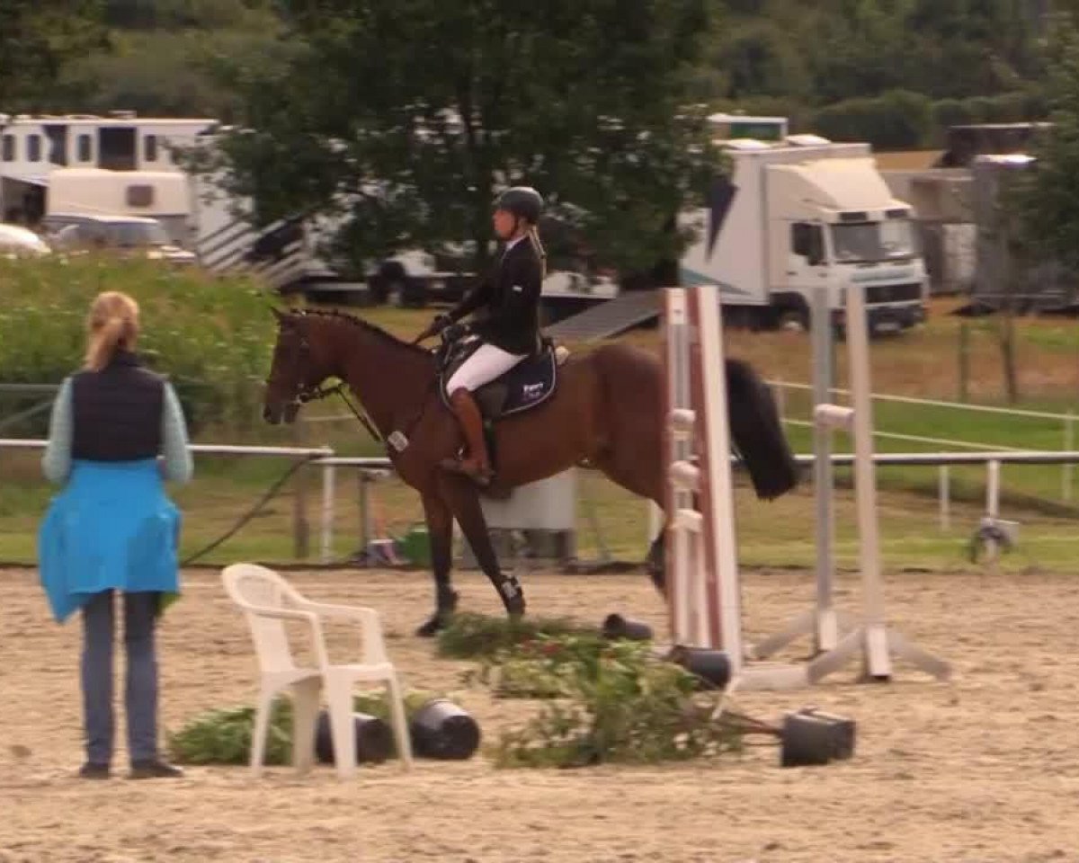 jumper Over the clouds (Westphalian, 2007, from Ol Metta)