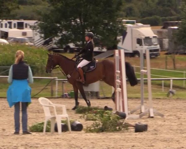jumper Over the clouds (Westphalian, 2007, from Ol Metta)