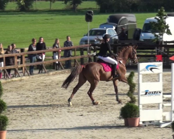 Reitturnier Kirchhellen/Stall Dieckmann 2020