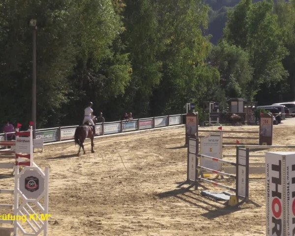 Reitturnier Uder, Reitanlage Kobold 2020