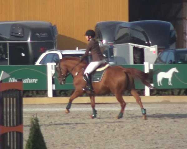 Reitturnier Sauldorf-Boll 2020