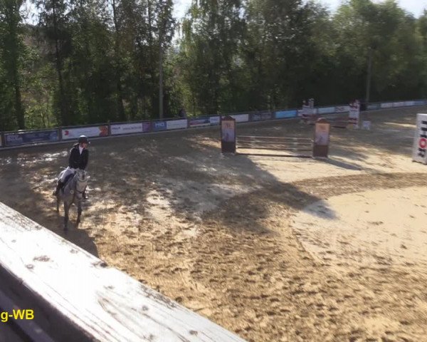 Reitturnier Uder, Reitanlage Kobold 2020