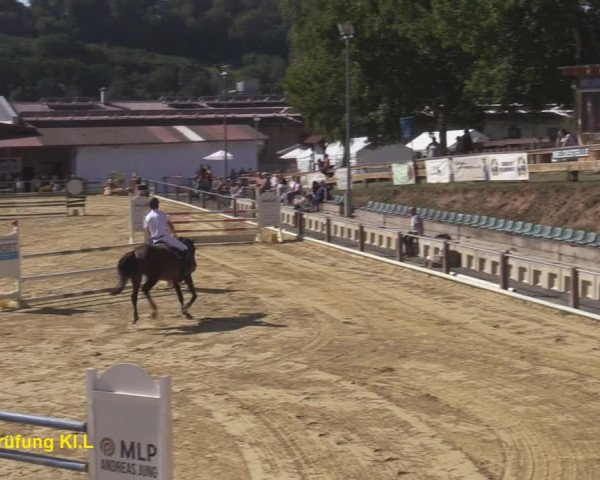 Reitturnier Uder, Reitanlage Kobold 2020
