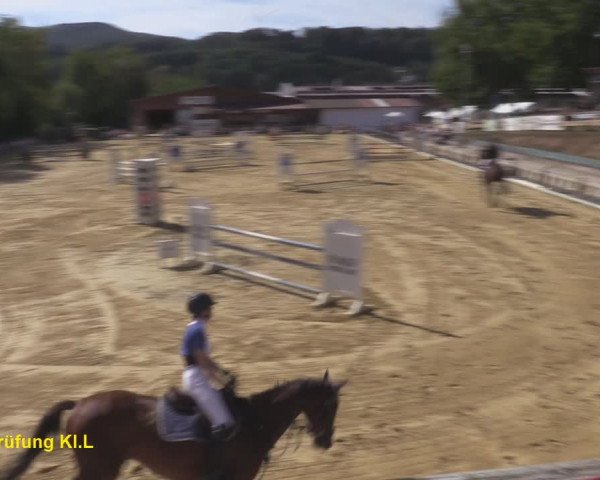 Reitturnier Uder, Reitanlage Kobold 2020