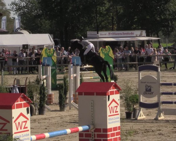 Reitturnier Albersloh 2020