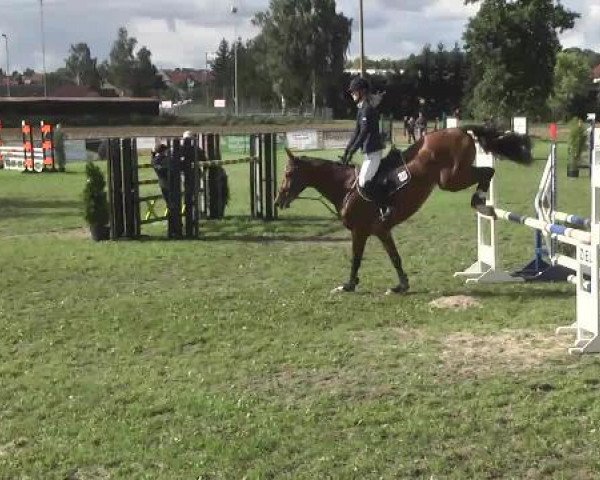 jumper Felsina (Württemberger, 2008, from Fundskerl)