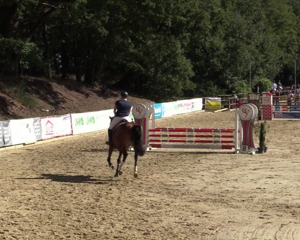 Reitturnier Albersloh 2020