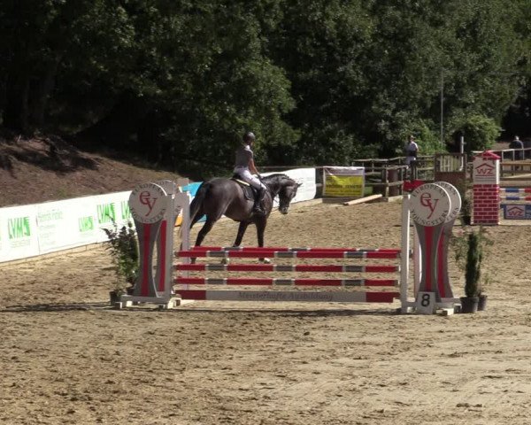 Reitturnier Albersloh 2020