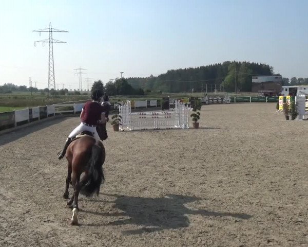 Reitturnier Sauldorf-Boll 2020