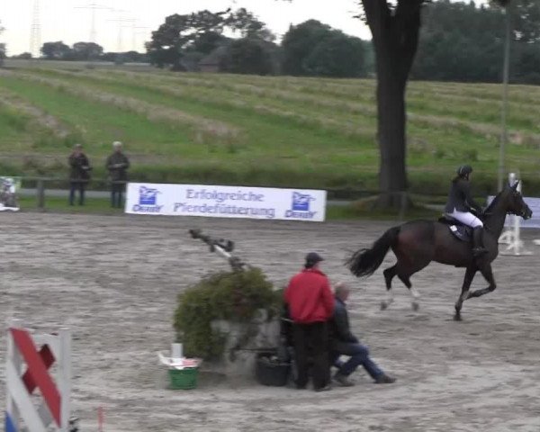 jumper Dorette 193 (KWPN (Royal Dutch Sporthorse), 2008, from Emilion)