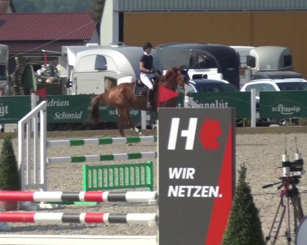 Reitturnier Sauldorf-Boll 2020