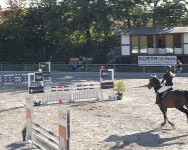 Reitturnier Nesselröden 2020