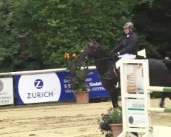broodmare Staphira (Oldenburg, 2007, from Stalypso)