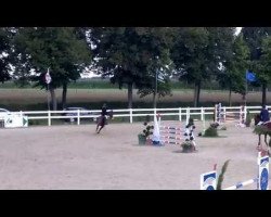 dressage horse Valentina (Holsteiner, 2005, from Conello)