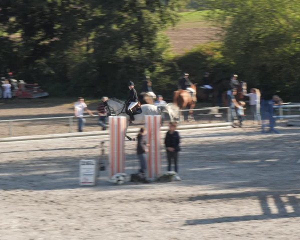 Reitturnier Nesselröden 2020