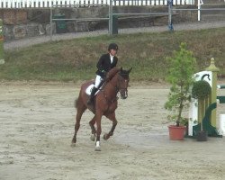 jumper Curonia (Oldenburg, 2007, from Clinton H)