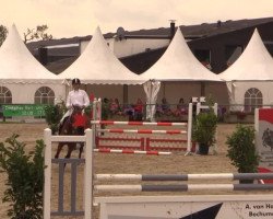 jumper Bella's Twilight (Holsteiner, 2009, from Calazio 170 FIN)