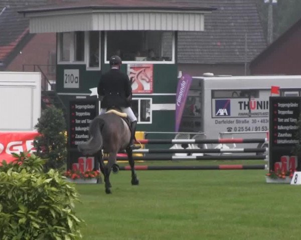 jumper Lucky Men (Oldenburg, 2010, from Lucky Boy)