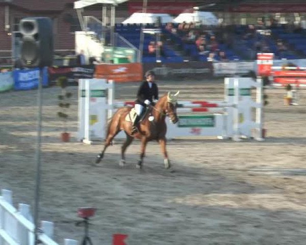 jumper Pretty Pearl 6 (Westphalian, 2009, from Peking)