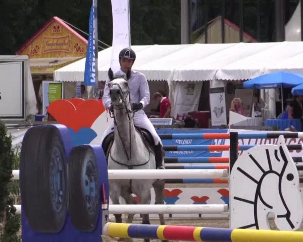 Pferd Alonso 57 (KWPN (Niederländisches Warmblut), 2005)