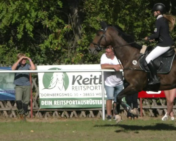 Reitturnier Wernigerode 2020