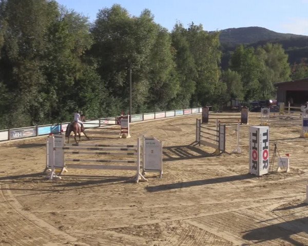 Reitturnier Uder, Reitanlage Kobold 2020