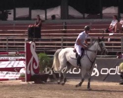 jumper Caluna's Cacharel Z (Zangersheide riding horse, 2006, from Chuck Z)