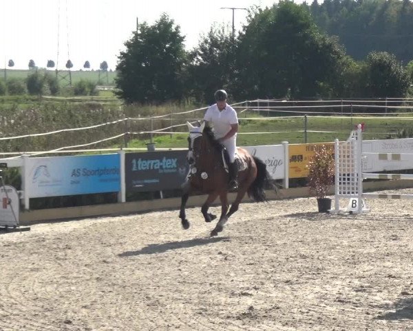 Reitturnier Sauldorf-Boll 2020