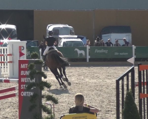 Reitturnier Sauldorf-Boll 2020