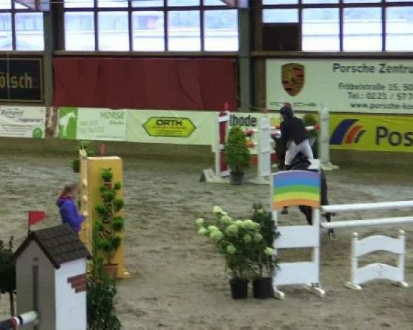 jumper Granat 308 (Hanoverian, 2008, from Graf Grannus)