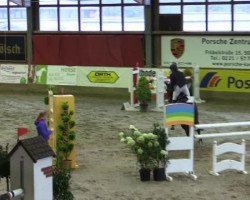 jumper Granat 308 (Hanoverian, 2008, from Graf Grannus)