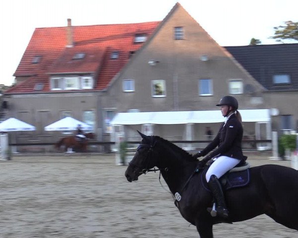 Reitturnier Buchenhof-Ibbenbüren 2020