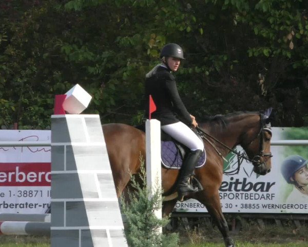 Reitturnier Wernigerode 2020