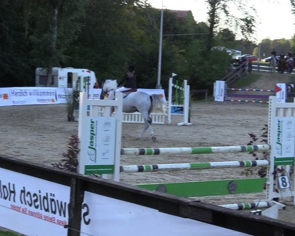 Reitturnier Buchenhof-Ibbenbüren 2020